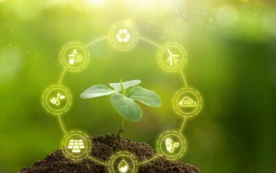 La Mode des Plantes Carnivores : Une Solution Inattendue au Changement Climatique ?