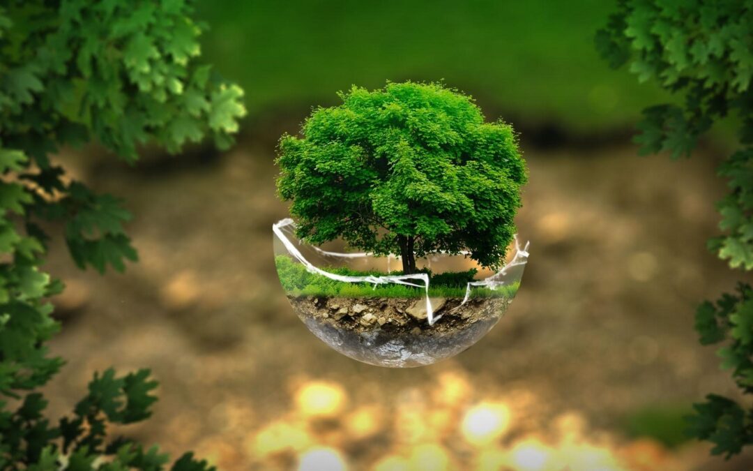 Le Potager du Futur : Comment les Plantes Communiquent pour Sauver la Planète